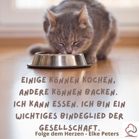 Tierkommunikation - Tierpsychologie - Elke Peters