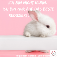 Tierkommunikation - Tierpsychologie - Elke Peters - Tiercoaching