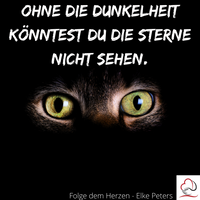 Tierkommunikation - Tierpsychologie - Elke Peters - Tiercoaching