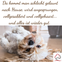 Tierkommunikation - Tierpsychologie - Elke Peters - Tiercoaching