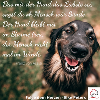 Tierkommunikation - Tierpsychologie - Elke Peters - Tiercoaching