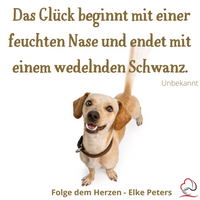 Tierkommunikation - Tierpsychologie - Elke Peters - Tiercoaching