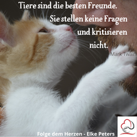 Tierkommunikation - Tierpsychologie - Elke Peters - Tiercoaching