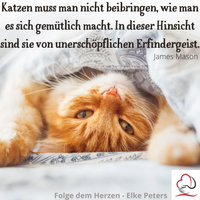 Tierkommunikation - Tierpsychologie - Elke Peters