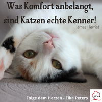 Tierkommunikation - Tierpsychologie - Elke Peters - Tiercoaching