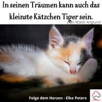 Tierkommunikation - Tierpsychologie - Elke Peters - Tiercoaching