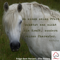 Tierkommunikation - Tierpsychologie - Elke Peters