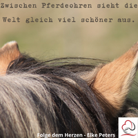 Tierkommunikation - Tierpsychologie - Elke Peters