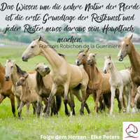 Tierkommunikation - Tierpsychologie - Elke Peters - Tiercoaching