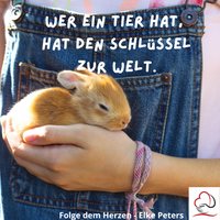 Tierkommunikation - Tierpsychologie - Elke Peters