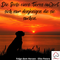 Tierkommunikation - Tierpsychologie - Elke Peters