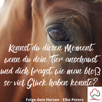 Tierkommunikation - Tierpsychologie - Elke Peters