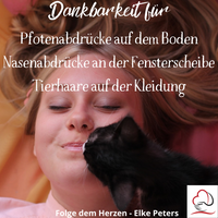 Tierkommunikation - Tierpsychologie - Elke Peters - Tiercoaching