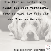 Tierkommunikation - Tierpsychologie - Elke Peters