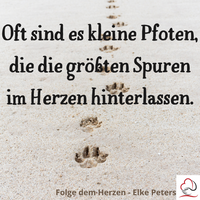 Tierkommunikation - Tierpsychologie - Elke Peters - Tiercoaching