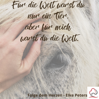 Tierkommunikation - Tierpsychologie - Elke Peters - Tiercoaching