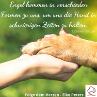 Tierkommunikation - Tierpsychologie - Elke Peters - Tiercoaching