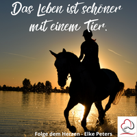 Tierkommunikation - Tierpsychologie - Elke Peters - Tiercoaching