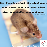 Tierkommunikation - Tierpsychologie - Elke Peters