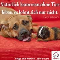 Tierkommunikation - Tierpsychologie - Elke Peters - Tiercoaching