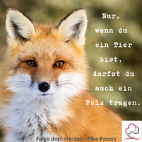 Tierkommunikation - Elke Peters - Tierschutz