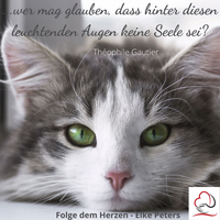 Tierkommunikation - Tierpsychologie - Elke Peters - Tiercoaching