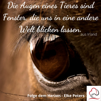 Tierkommunikation - Tierpsychologie - Elke Peters - Tiercoaching