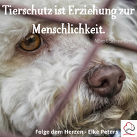 Tierkommunikation - Tierpsychologie - Elke Peters