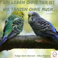 Tierkommunikation - Tierpsychologie - Elke Peters - Tiercoaching