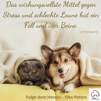 Tierkommunikation - Tierpsychologie - Elke Peters - Tiercoaching