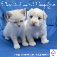 Tierkommunikation - Tierpsychologie - Elke Peters - Tiercoaching