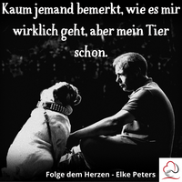 Tierkommunikation - Tierpsychologie - Elke Peters