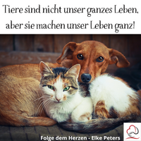 Tierkommunikation - Tierpsychologie - Elke Peters