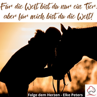 Tierkommunikation - Tierpsychologie - Elke Peters